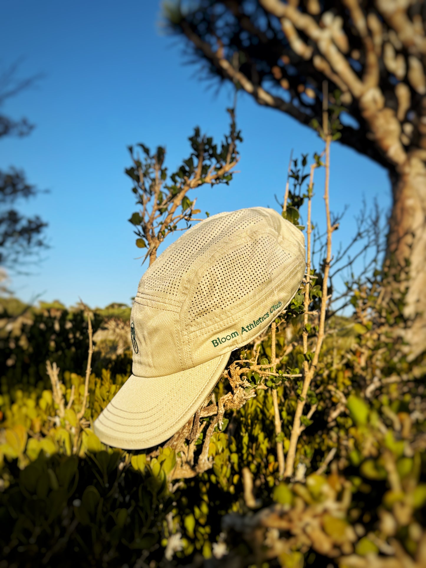 StepNGo Running Cap